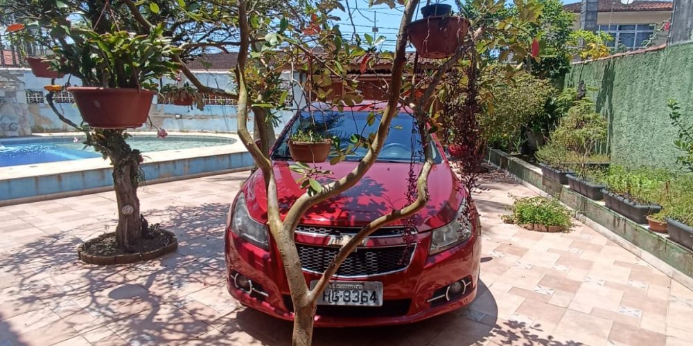 WhatsApp Image 2025-03-03 at 15.07.42 (2)