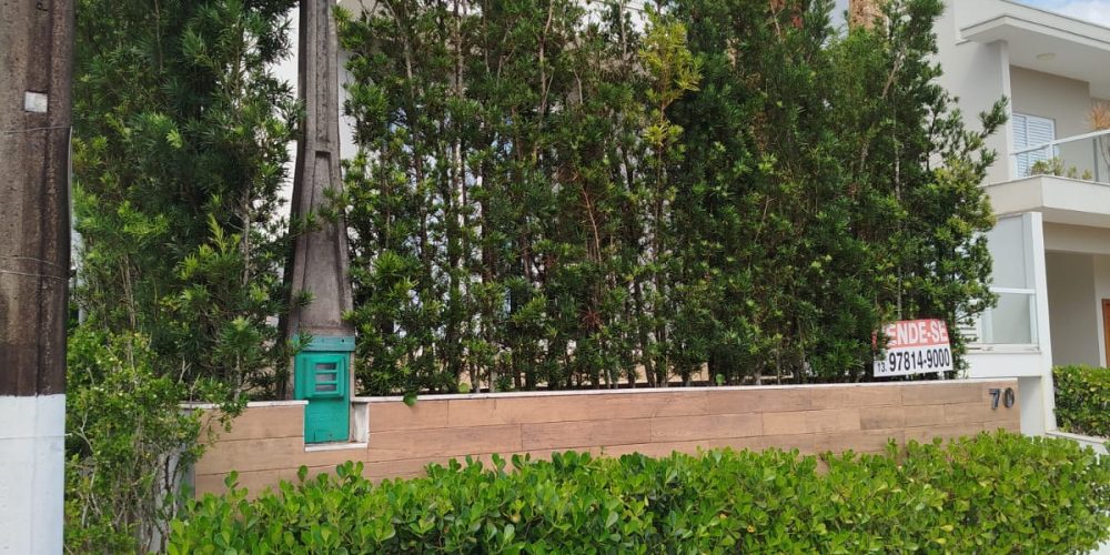 WhatsApp Image 2025-03-03 at 15.37.29 (1)