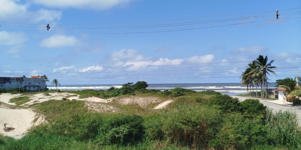 WhatsApp Image 2025-04-23 at 19.40.01